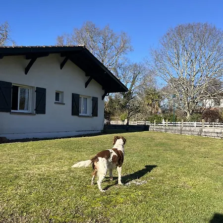 Maison Chaleureuse * Mezos