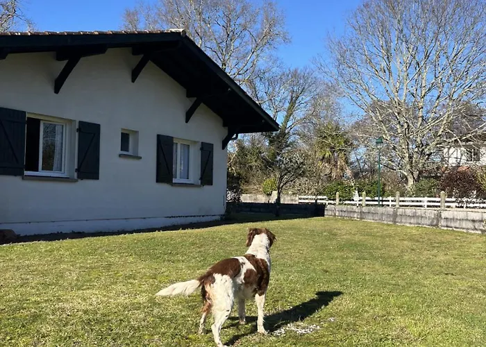 Maison Chaleureuse * Mezos